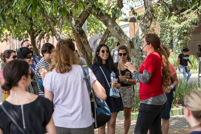Medellin Historic Walking Tour with Expert Guide - Why this downtown walk matters