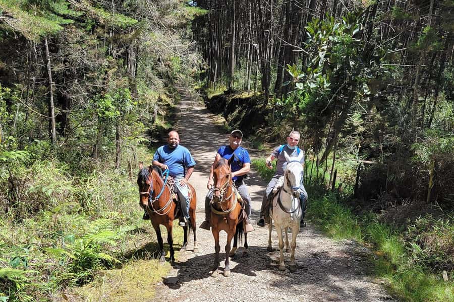 Medellin: Horseback Riding Coffee Farm Tour with Coffee Spa - A 35-Minute Ride on an Old Muleteer Path