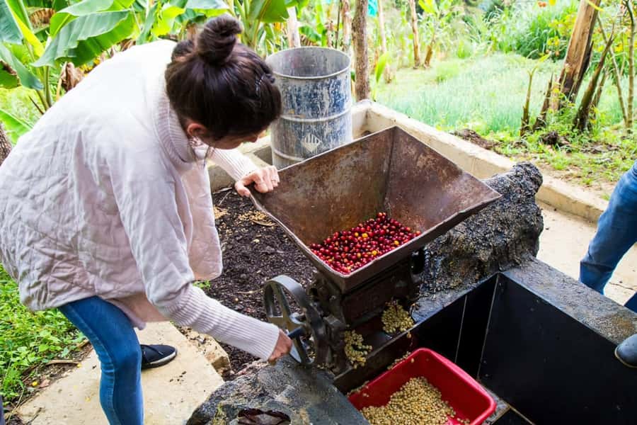 Medellin: Horseback Riding Coffee Farm Tour with Coffee Spa - Guides, Group Size, and the Feel of the Day