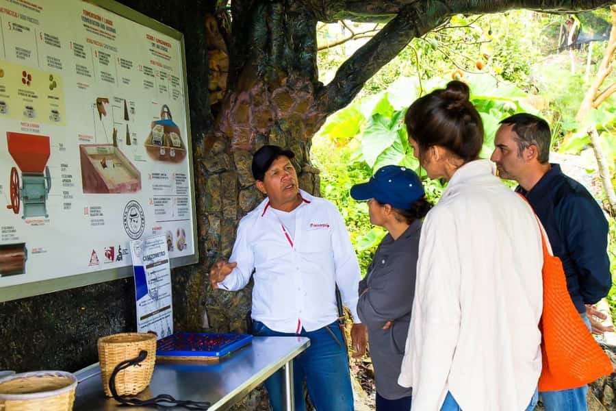 Medellin: Horseback Riding Coffee Farm Tour with Coffee Spa - Should You Book It?