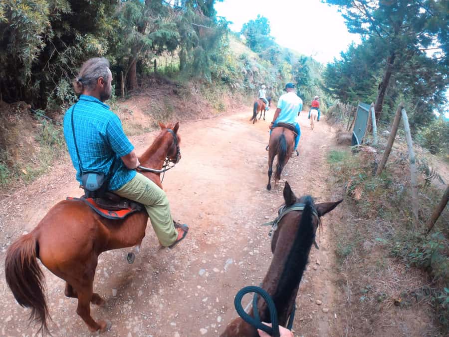 Medellin: Horseback Riding in the Medellin Mountains - Two hours through the green mountains