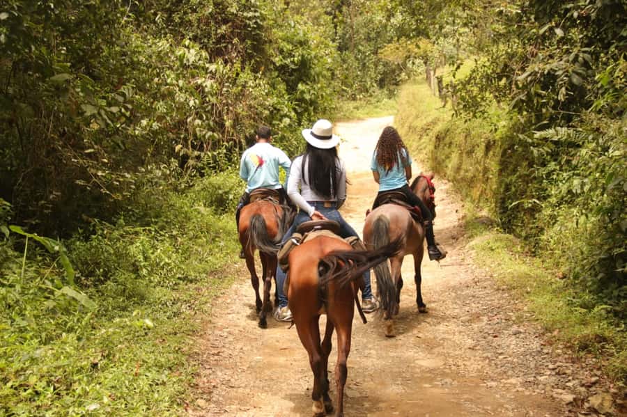 Medellin: Horseback Riding in the Medellin Mountains - Antioquia’s arriero tradition on the trail