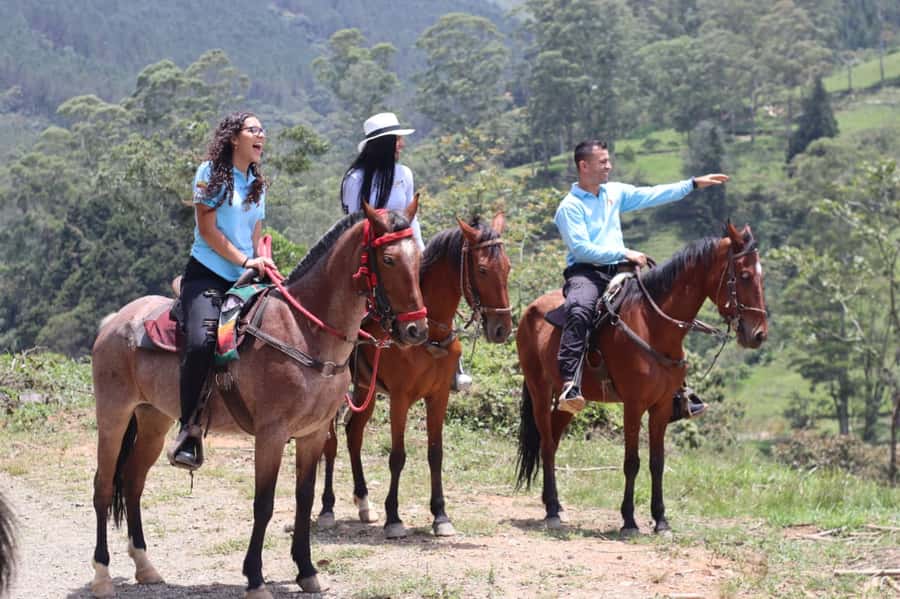 Medellin: Horseback Riding in the Medellin Mountains - Is $70 a fair price?