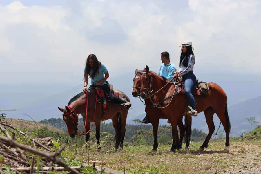 Medellin: Horseback Riding in the Medellin Mountains - What to bring and how to prepare