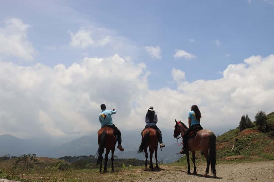 Medellin: Horseback Riding in the Medellin Mountains - Meeting the horses and getting ready