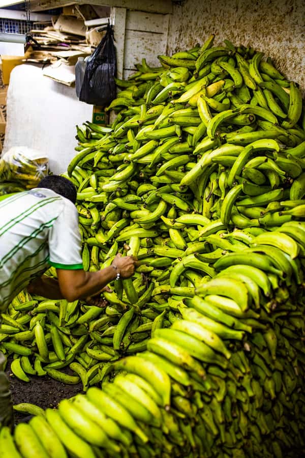 Medellín Multi-sensory Tour in the market, +15 Exotic Fruits - The first tasting stop: color, smell, and familiar names