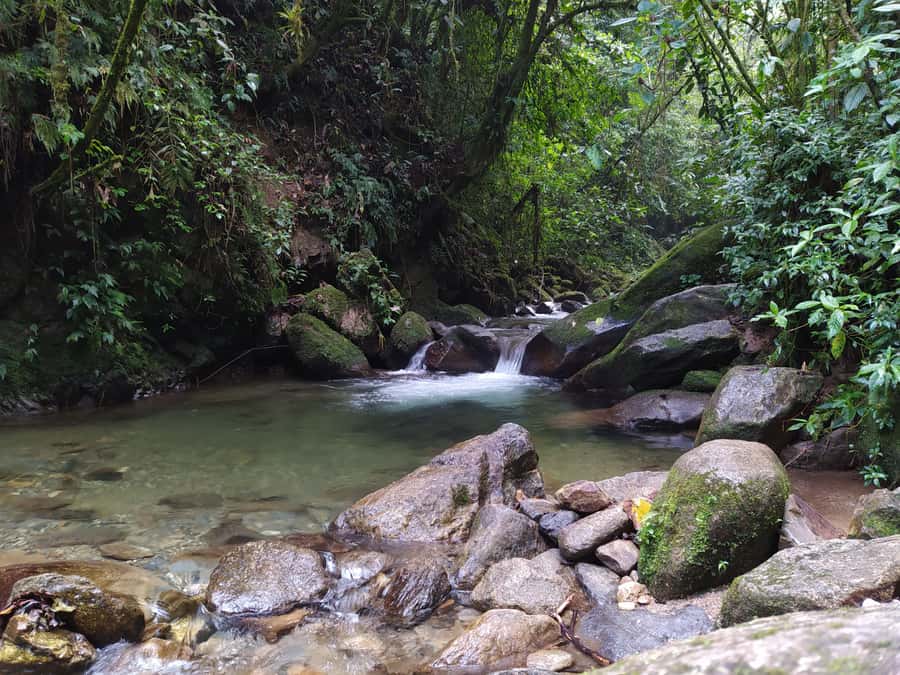 Medellín: Nature Experience & Waterfall-Hike - Reaching 20-meter La Miel waterfall