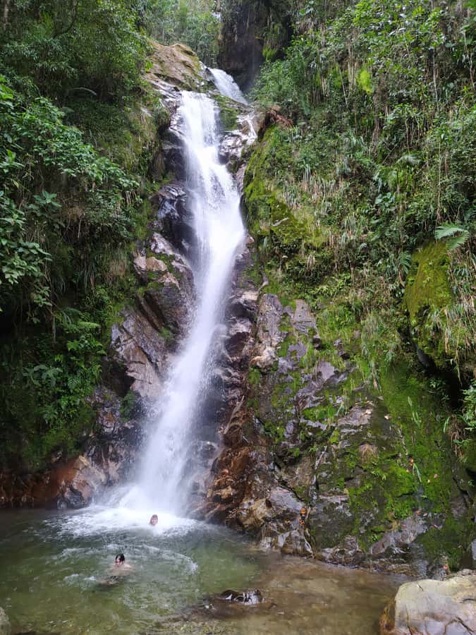 Medellín: Nature Experience & Waterfall-Hike - Booking details that matter