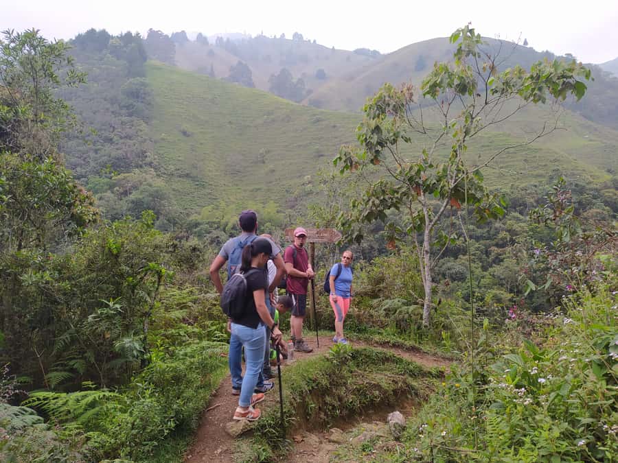 Medellín: Nature Experience & Waterfall-Hike - A 90-minute walk beside the river