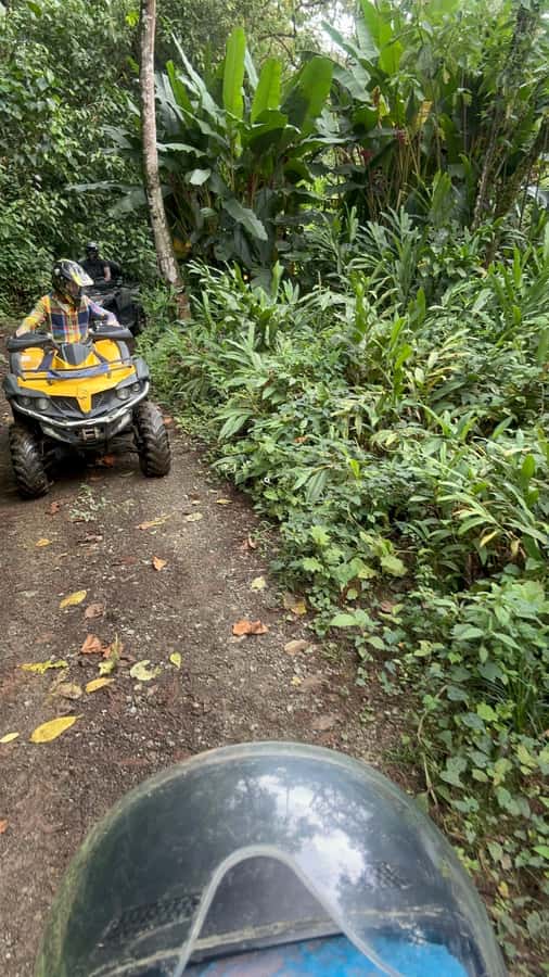 Medellin: Private ATV TOUR 1.5H - Quick Take: What Makes This ATV Trip Worth Considering