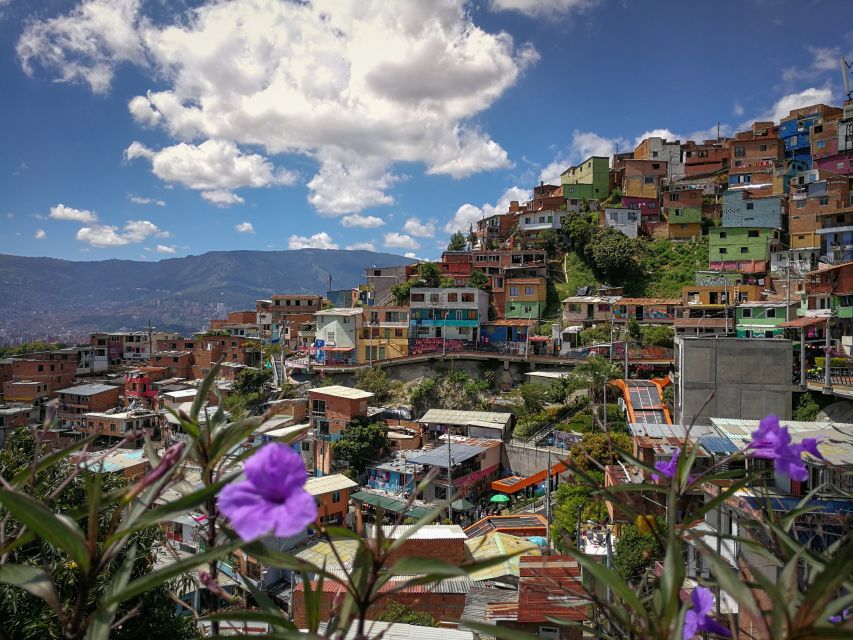 Medellín: Private City Tour with Metrocable and Comuna 13 - Parques del Rio and a calmer urban finish
