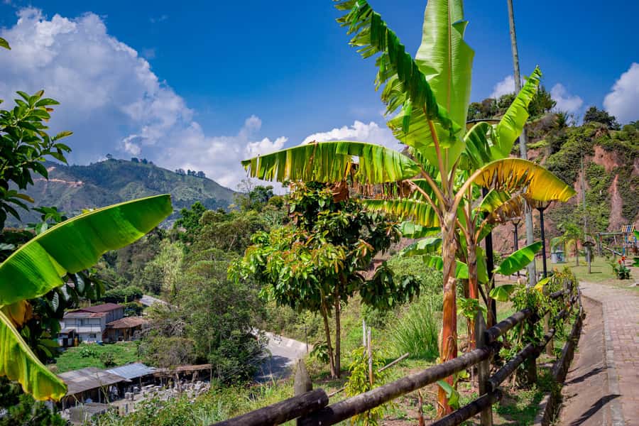 Medellín: Private Guatapé Tour w/ Breakfast, Lunch & Cruise - Guatapé’s streets and the language of the zócalos