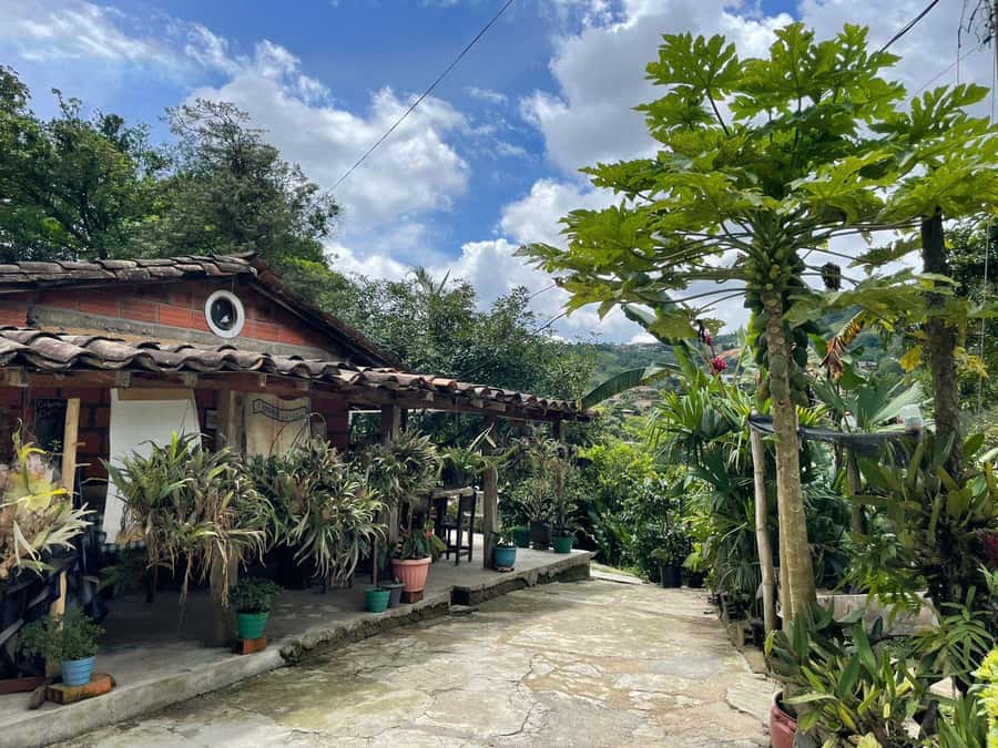 Medellín: Private Half-Day Coffee Tour at Local Family Farm - Roasting explains the final flavor