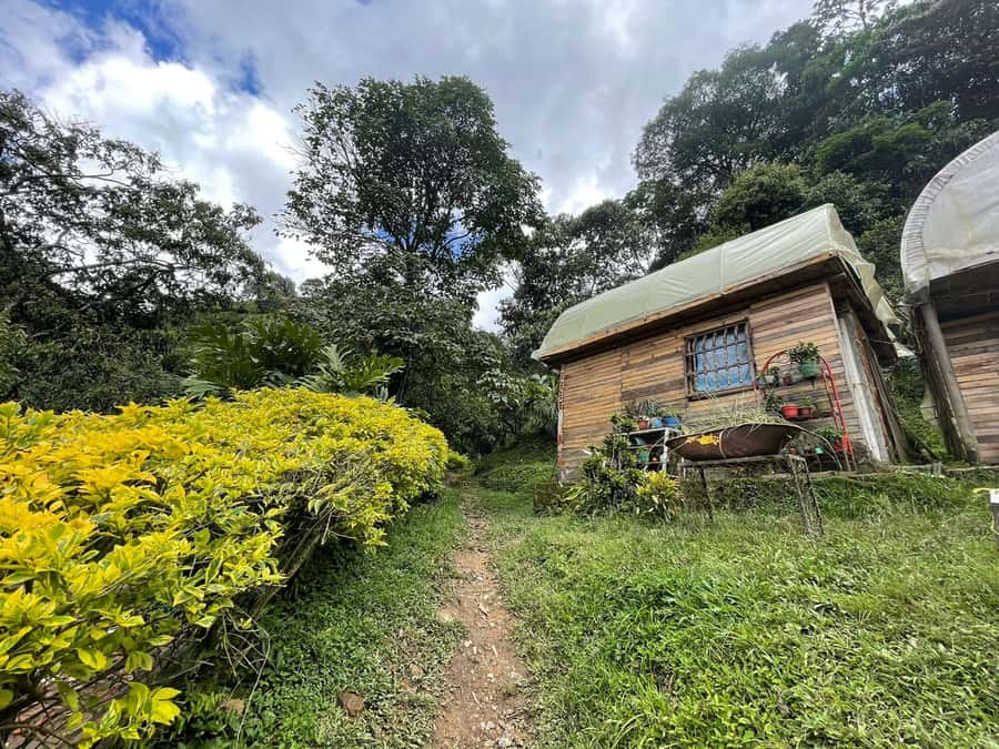 Medellín: Private Half-Day Coffee Tour at Local Family Farm - Four preparation methods, one useful tasting lesson