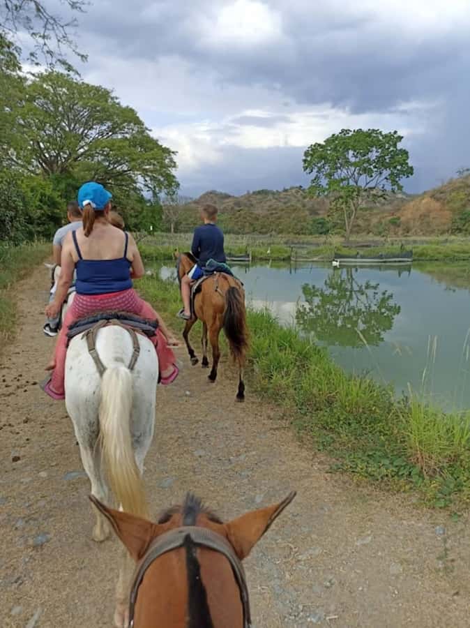 MEDELLIN: SAN JERONIMO TOUR + ECOPARQUE GAITERO + SWIMMING POOL - Who Should Book This San Jerónimo Experience?