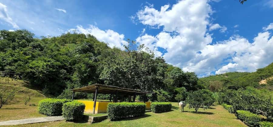 MEDELLIN: SAN JERONIMO TOUR + ECOPARQUE GAITERO + SWIMMING POOL - Why San Jerónimo Makes a Good Day Trip From Medellín
