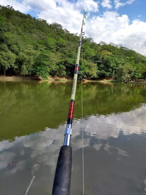 MEDELLIN: SAN JERONIMO TOUR + ECOPARQUE GAITERO + SWIMMING POOL - The Interactive Farm: A Strong Choice for Families