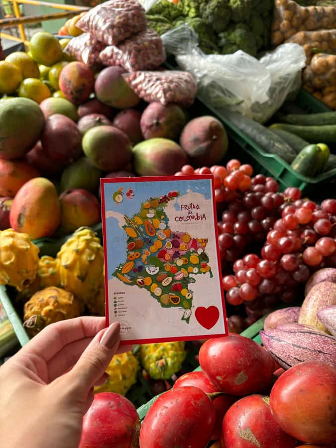 Medellin: Santa Fe de Antioquia Day Trip - Why Santa Fe de Antioquia makes a good day away from Medellin