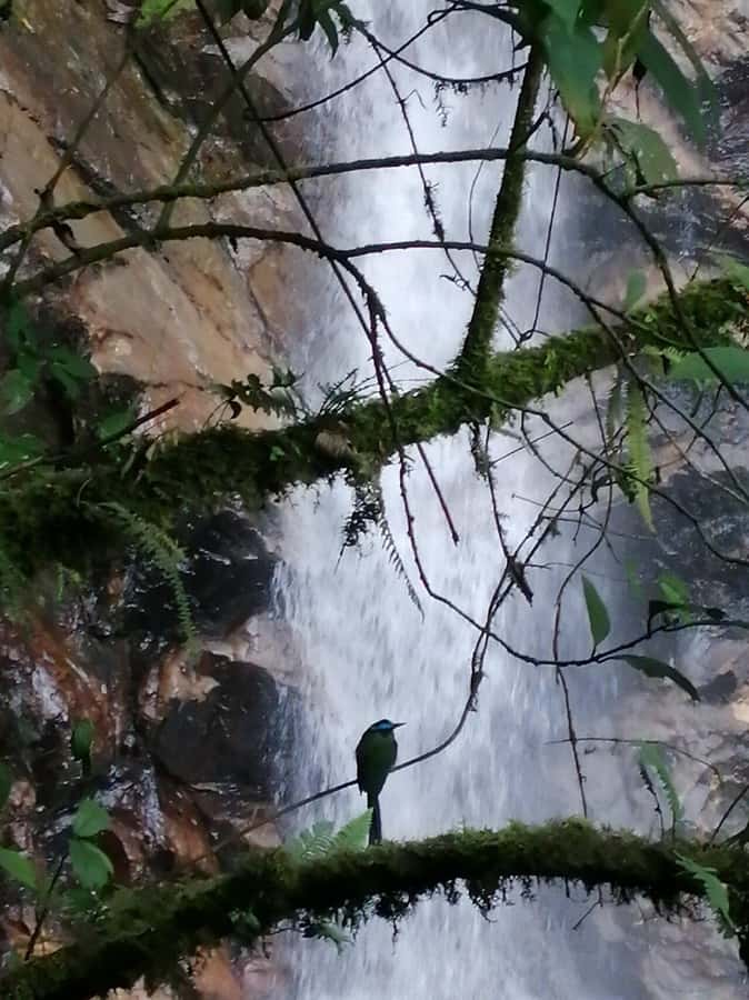 Medellín: Secret Waterfall Hike Tour with Snack and Coffee - Is $62 a fair price?