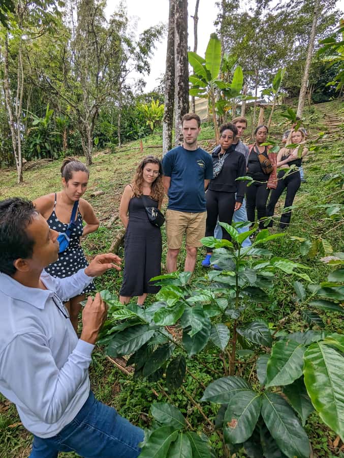 Medellin to Fredonia for a Coffee Day Tour - Key points to know before you book