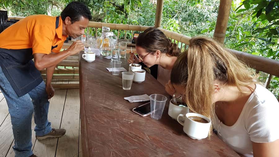 Medellin to Fredonia for a Coffee Day Tour - Fredonia town walk and guided introduction