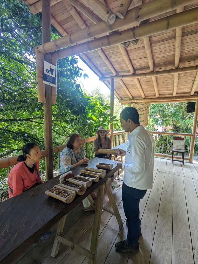 Medellin to Fredonia for a Coffee Day Tour - Starting from Medellín and reaching Fredonia
