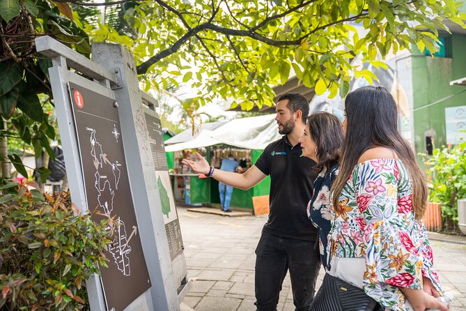 Medellín Tour: Themed Vehicles, Tram Ride and Metrocable - Guides, languages, and the pace of the day