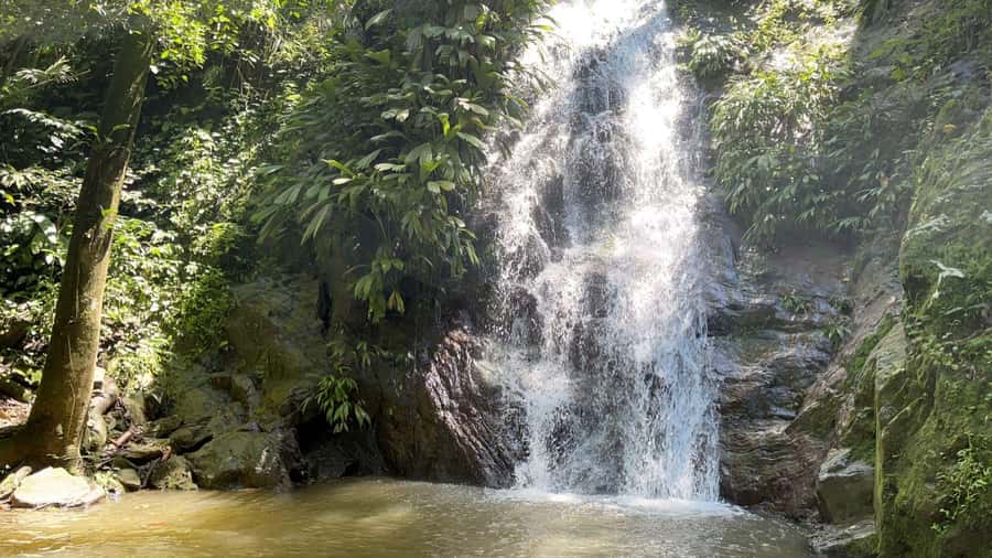 Minca: Hidden Waterfall + Coffee and Cocoa Workshop - Key things to know before you go