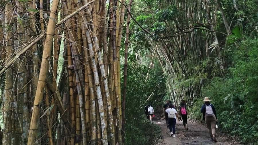 Minca: Hidden Waterfall + Coffee and Cocoa Workshop - Why this Minca day trip works so well