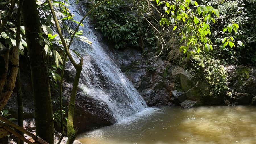 Minca: Hidden Waterfall + Coffee and Cocoa Workshop - Making chocolate at the Minca Cocoa Museum