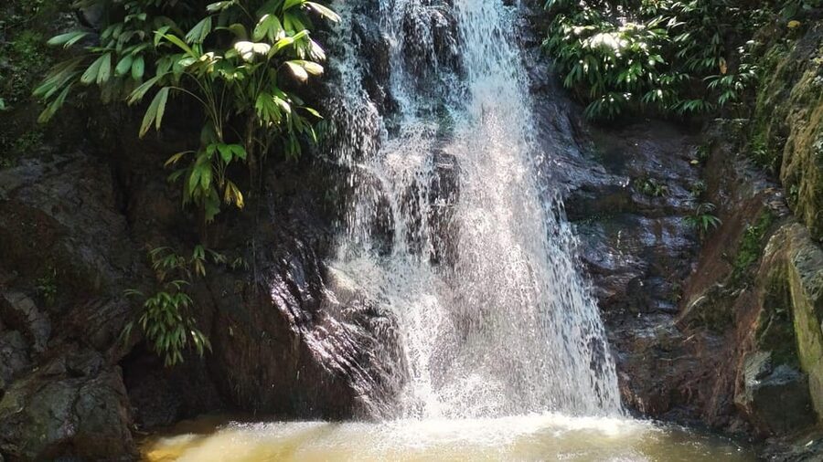 Minca: Hidden Waterfall + Coffee and Cocoa Workshop - How demanding is the walking?