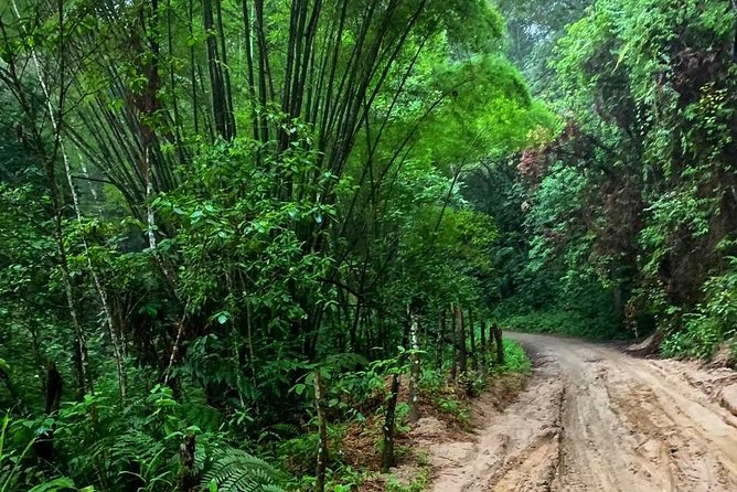 MINCA TOUR - Explore waterfalls and discover the origin of coffee and cocoa - Key points to know before booking