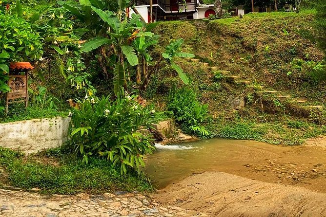 MINCA TOUR - Explore waterfalls and discover the origin of coffee and cocoa - Leaving Santa Marta for Minca