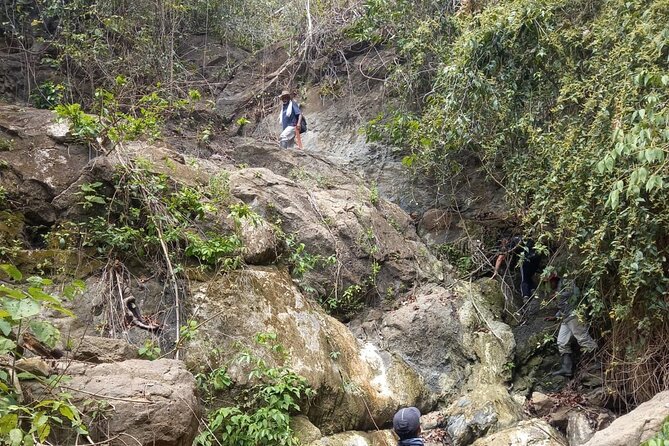 Monkey’s Creek: An Extreme Tropical Forest Hiking Adventure - Key things to know before you go