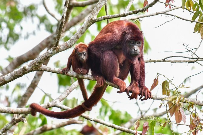 Monkey Volunteer Work in Wildlife Reserve Near Cartagena - A 7:00 am start beside the lake