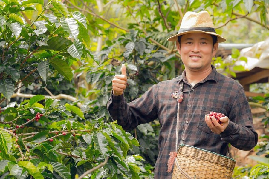 Most complete COFFEE TOUR at local family farm - Booking, cancellation, and practical planning