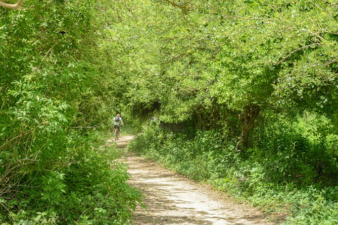 Mountain Biking Through Tierra Bomba’s Untouched Beauty - Riding inland through forest tracks