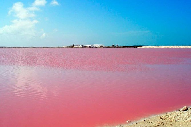 Mud Volcano and Pink Sea with Lunch Included - What the $46 price really includes