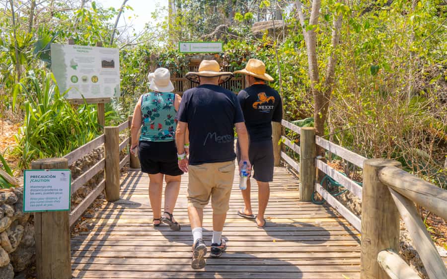 National Aviary and Playa Blanca Plankton Full-Day Tour - Why this Cartagena day trip is unusual