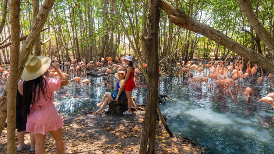 National Aviary and Playa Blanca Plankton Full-Day Tour - Four hours at Mambo Beach Club in Barú
