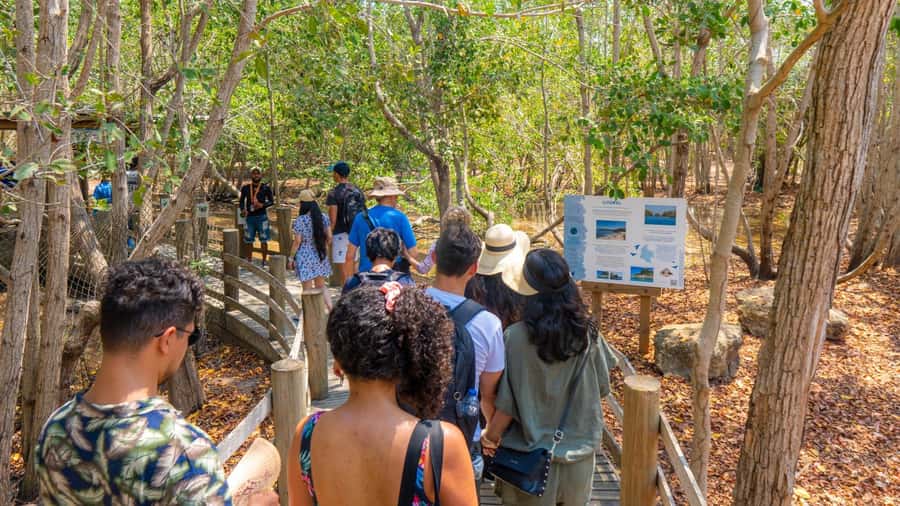 National Aviary and Playa Blanca Plankton Full-Day Tour - The speedboat ride to the glowing water