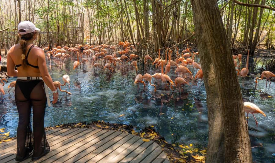 National Aviary and Playa Blanca Plankton Full-Day Tour - Returning to Cartagena after a 15-hour day