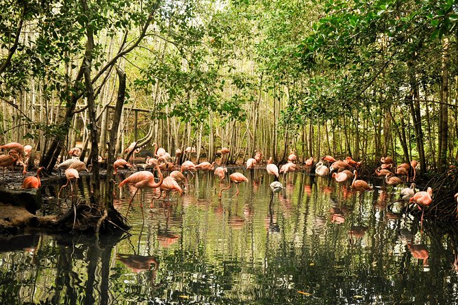 National Aviary private from Cartagena - The private drive from Cartagena