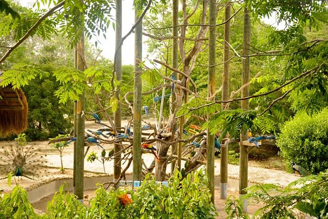 National Aviary private from Cartagena - The guide matters more than usual
