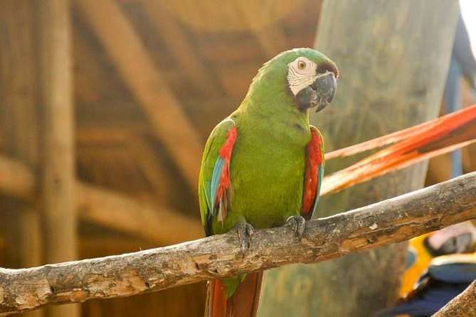 National Aviary private from Cartagena - Is $267 per person a fair price?