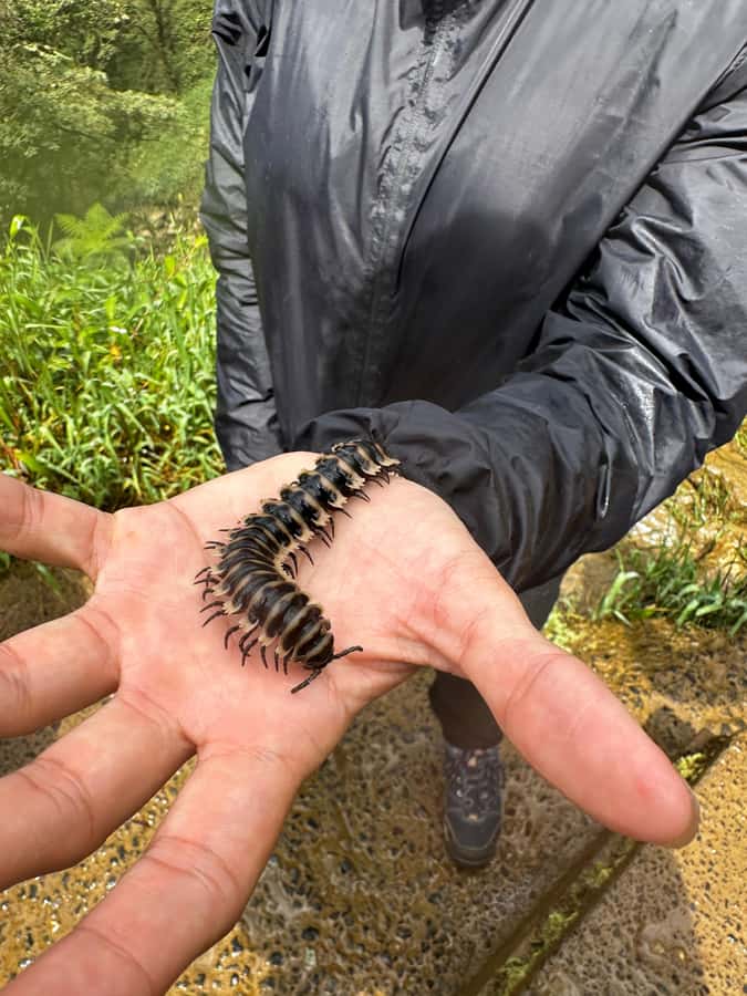 Natural Reserve: Highest Zipline, Climbing & Waterfalls - Packing for a muddy, active day