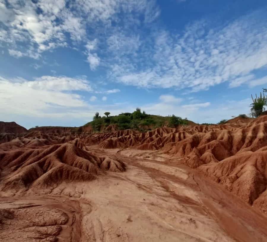 Neiva: Guided Day Trip to the Tatacoa Desert with Lunch - Key things to know before booking