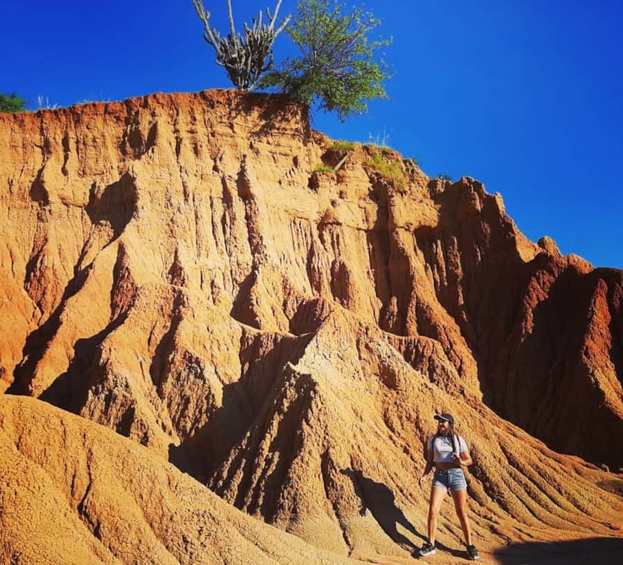 Neiva: Guided Day Trip to the Tatacoa Desert with Lunch - Walking through Tatacoa’s red zone
