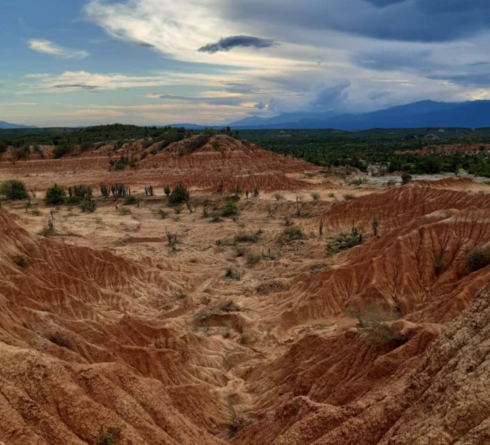 Neiva: Guided Day Trip to the Tatacoa Desert with Lunch - Who should book this day trip?