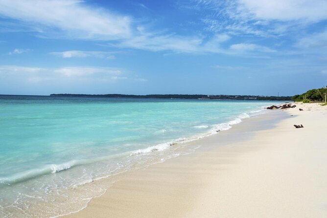One-Day Diving Mini Course - Discover Scuba Diving - Key points to know before booking